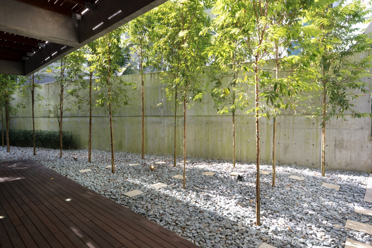 Young trees establish in the white pebble ground cover against the tall concrete boundary walls, and the timber deck edge defines the courtyard perimeter beneath the exposed concrete soffit