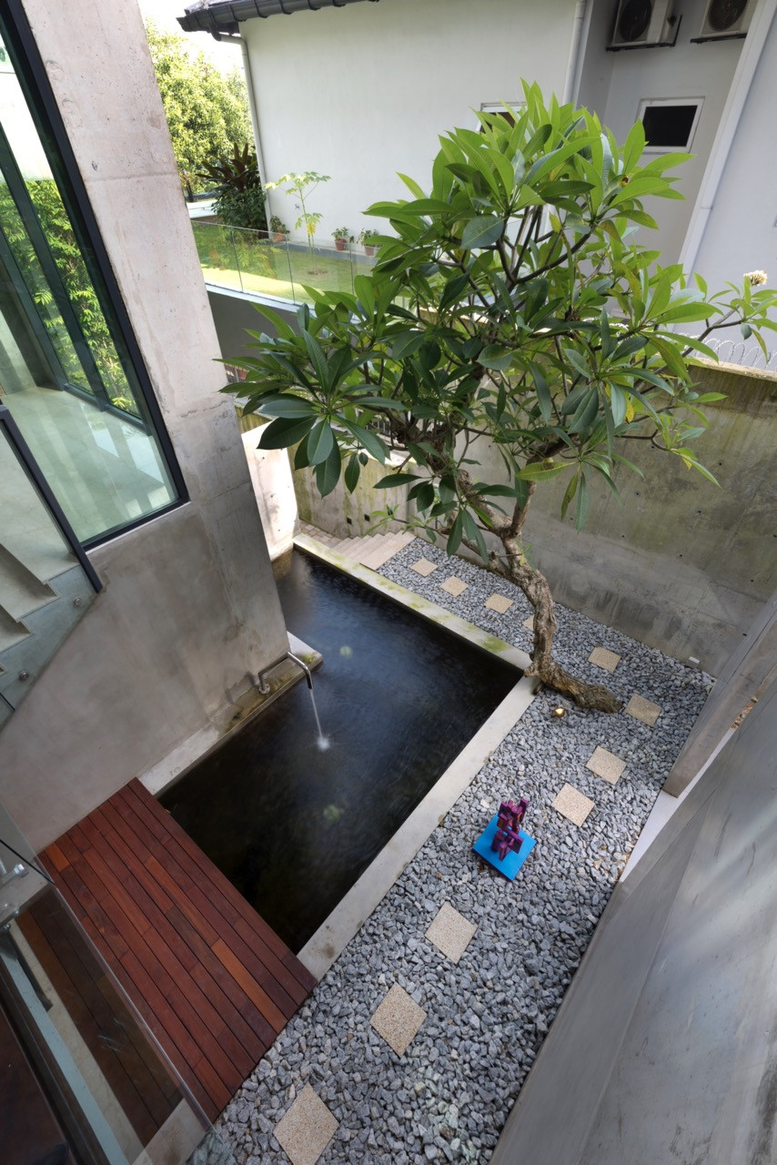 View of frangipani tree courtyard from the sitting room on the first floor