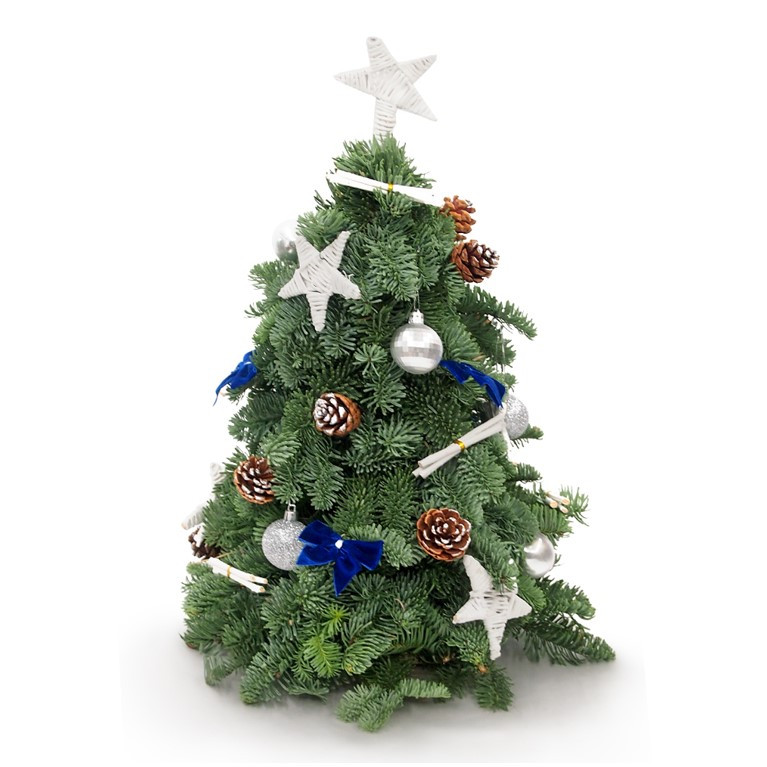 A fresh mini Christmas tree from Little Flower Hut