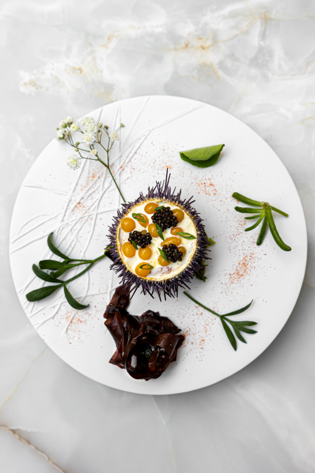 Sea urchin, egg yolks sparkles ©Clemence Sahuc