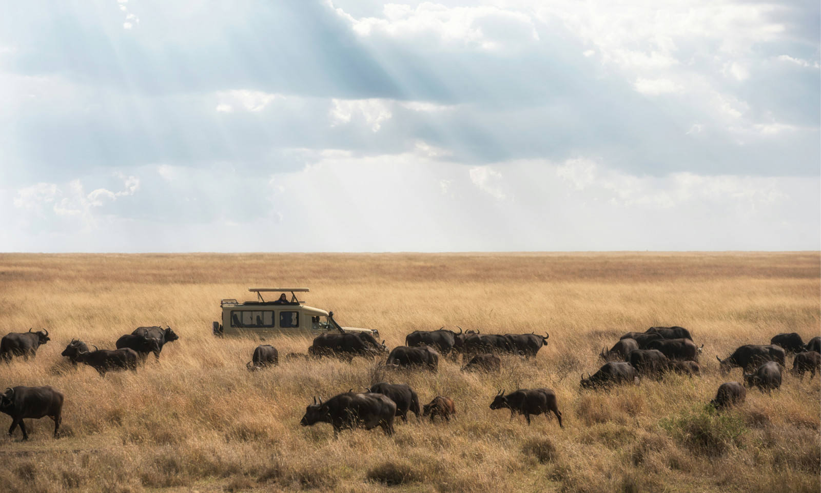 No standard tours. Experience a private, custom-tailored safari adventure designed for your family's pace and wonder