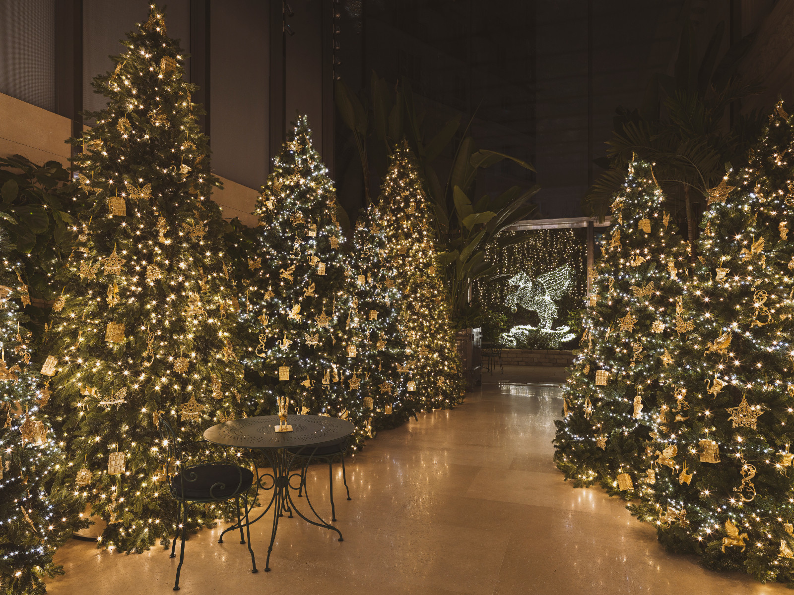 Presentation of the XMas 2025 decorations at the Dior store on avenue Montaigne in Paris, France - Photo ©Kristen Pelou