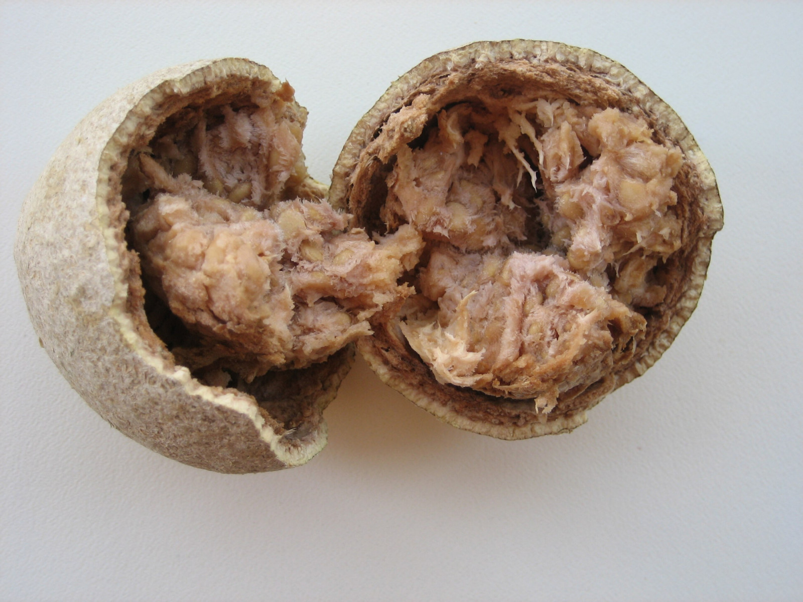 Wood apple (Photo: Seisfeldt/ Wikimedia Commons)