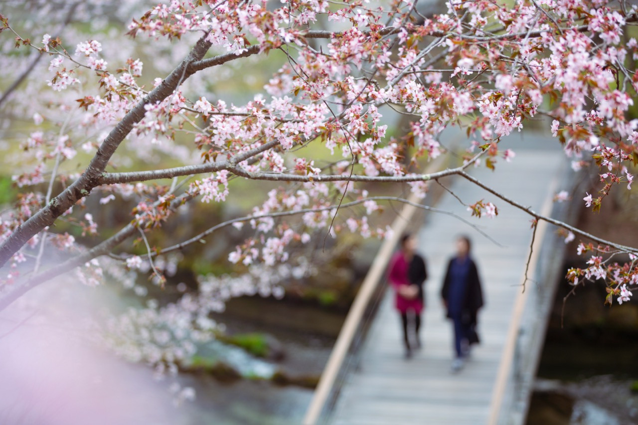 Hiroki Hasegawa's footpaths follow natural grades and connect across the river through small bridges, creating continuously changing soundscapes