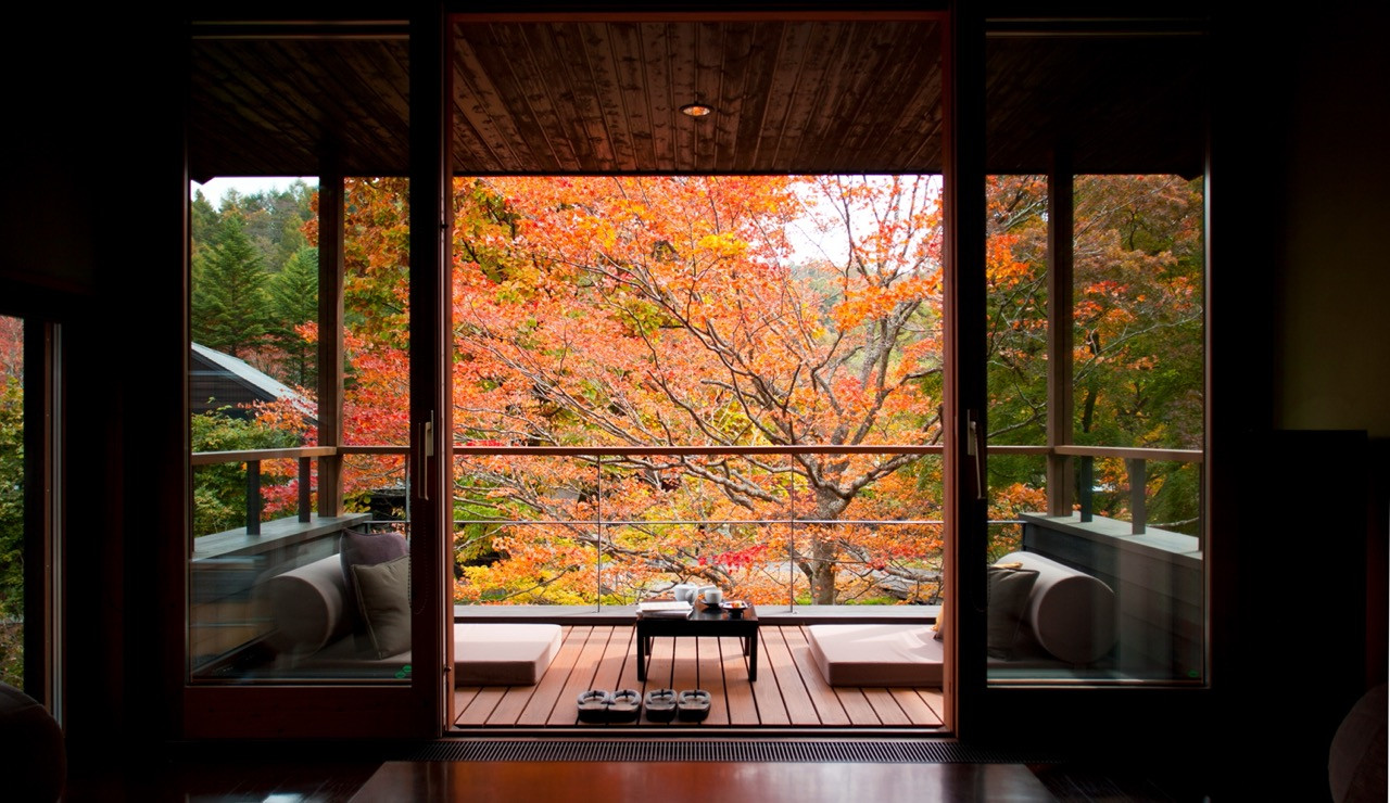 Windows frame seasonal changes as primary architectural content, with rooms treating the landscape beyond as more essential than interior amenities