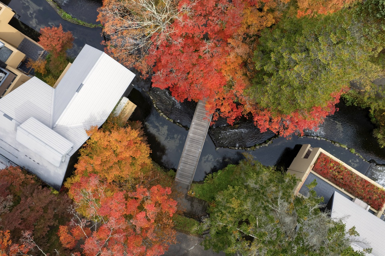 Hasegawa treated the valley's ancient trees as immovable points and designed pathways and structures around them