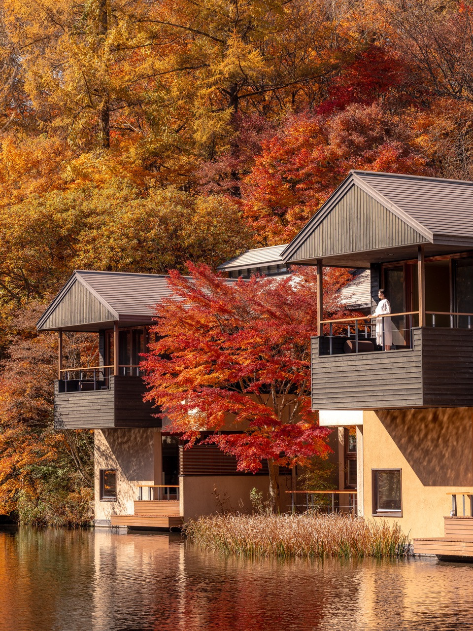 The 22 pavilion types occupy different positions in the valley, each oriented to take advantage of specific relationships with water, trees, and topography
