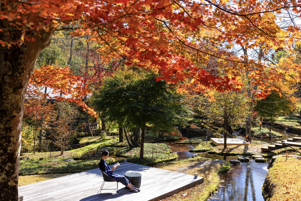 Terraces extend interior space into the landscape, handling thermal buffering while creating visual connections to the surrounding forest