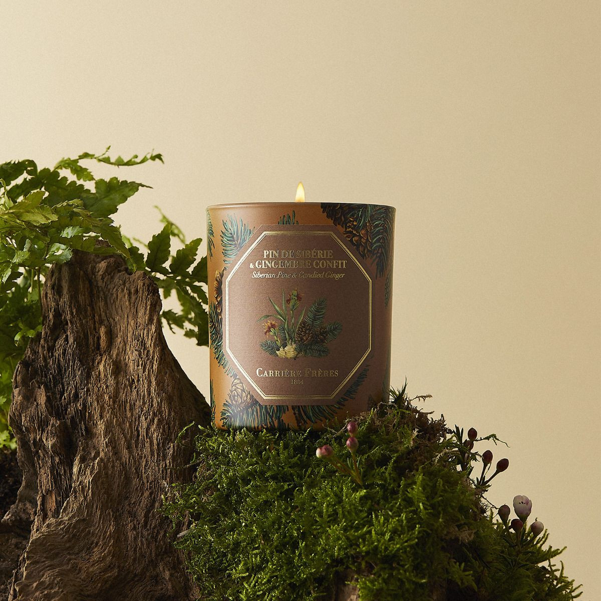 Carrière Frères Siberian Pine and Candied Ginger adds unexpected warmth to pine (Photo: Carriere Freres)