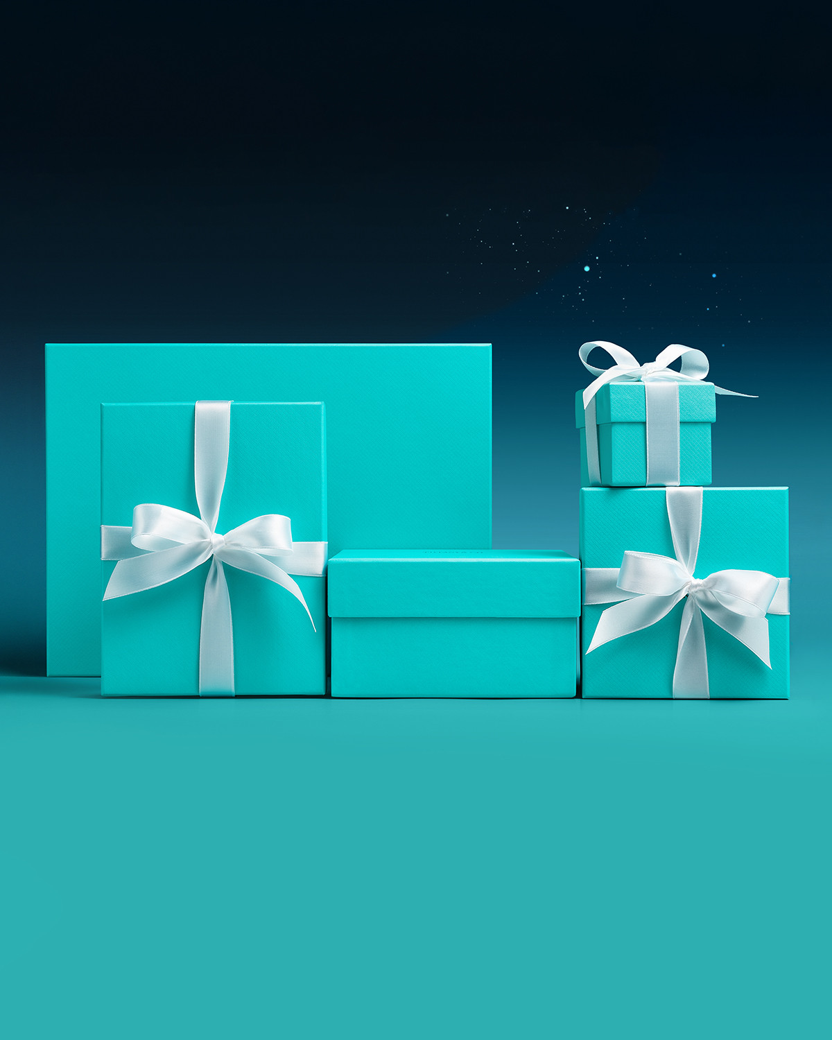 Shop at Tiffany & Co.: here's your 2025 holiday gift guide for