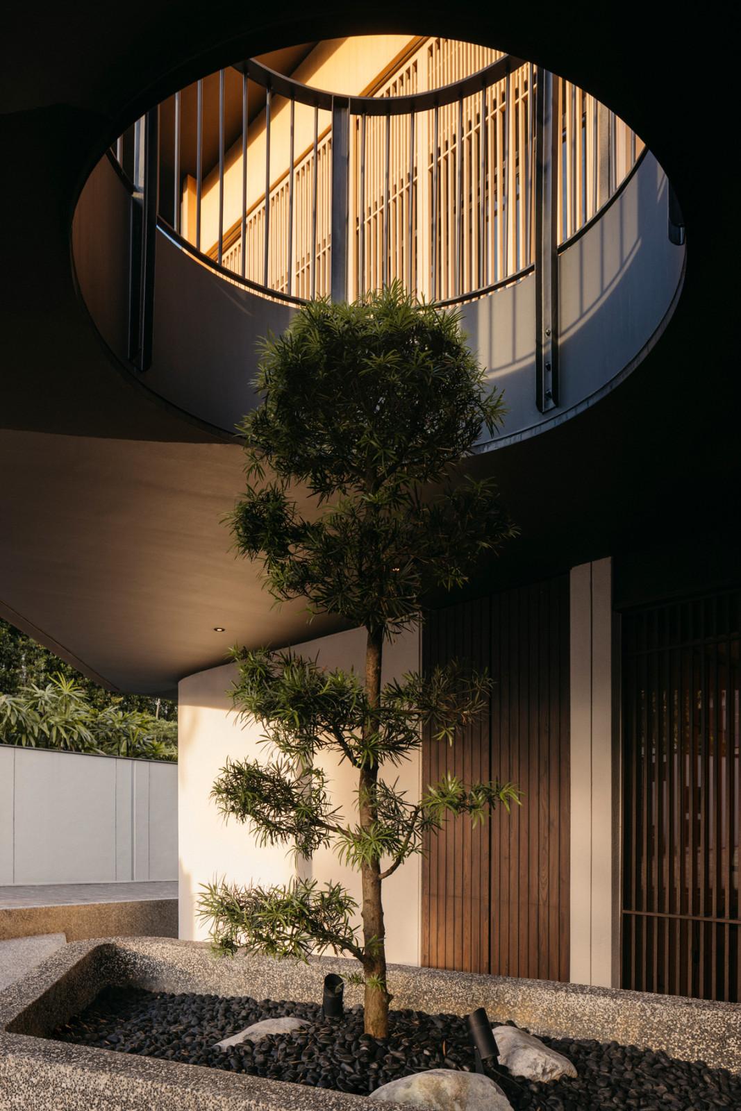 A circular opening in the second-storey balcony facilitates the growth of a pine tree on the ground floor