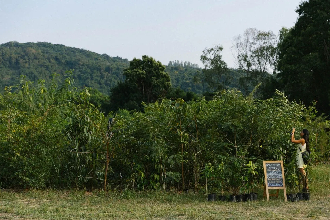 A glimpse into Wonderfruit