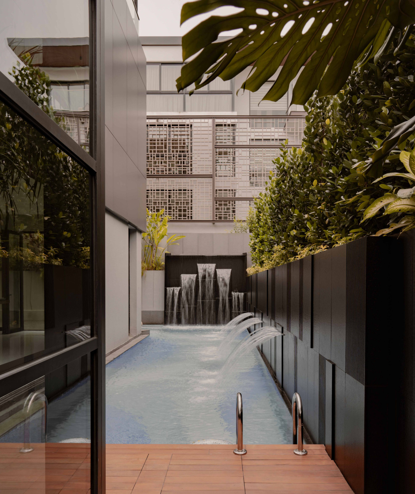 A lap pool runs alongside the multigenerational home screened by dense planting and dark cladding to create a private