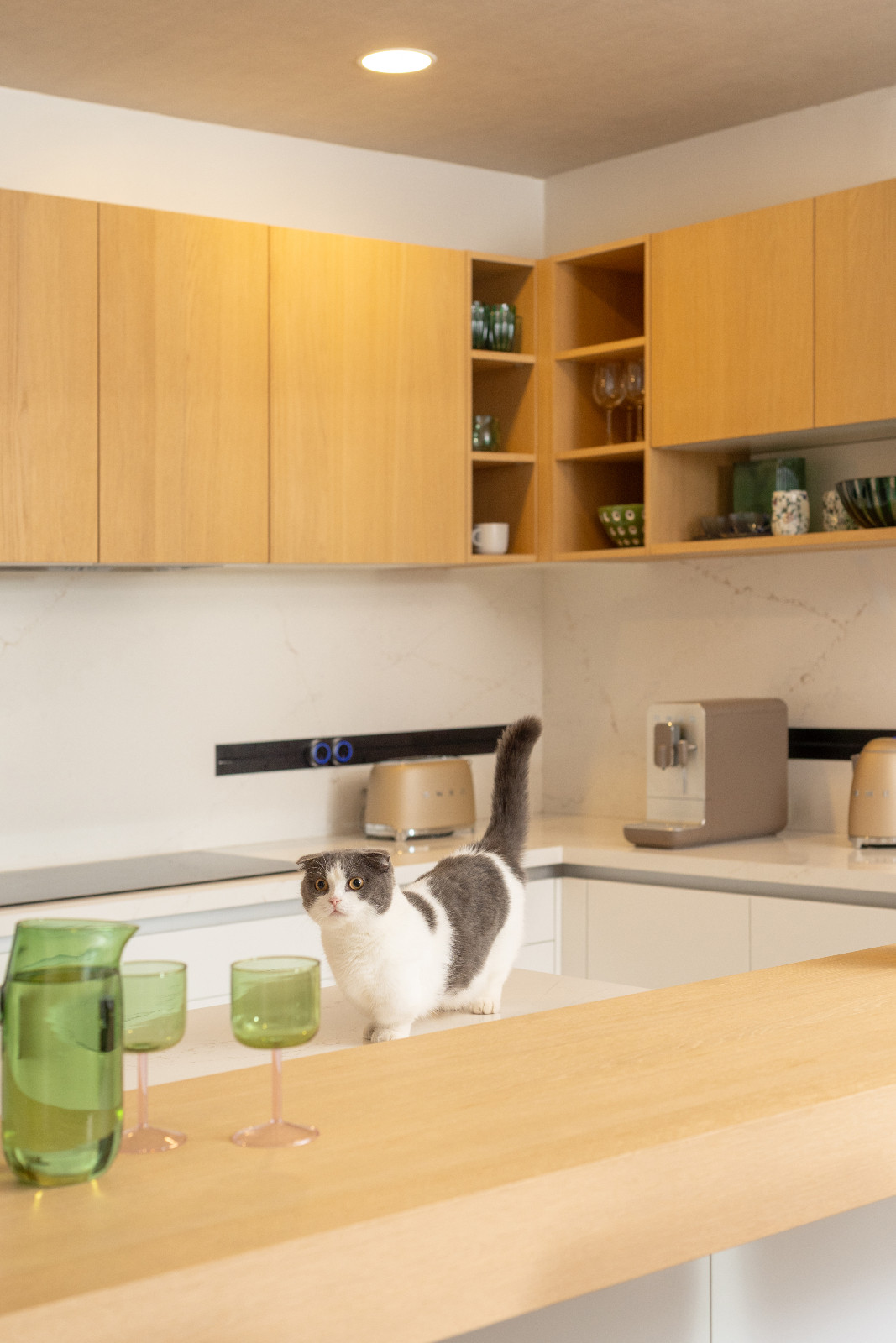 Tiny, Pia Wurtzbach Jauncey’s muchkin cat, steals the scene by curiously inspecting the Hay pitcher and glasses on the kitchen countertop