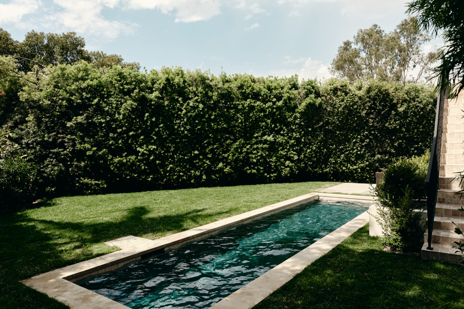 The pool and garden area of a Los Angeles, California home renovated by House of Rolison