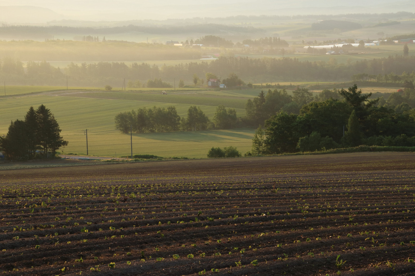 Japan in summer comes alive in Hokkaido, with vast open fields stretching across Furano and Biei