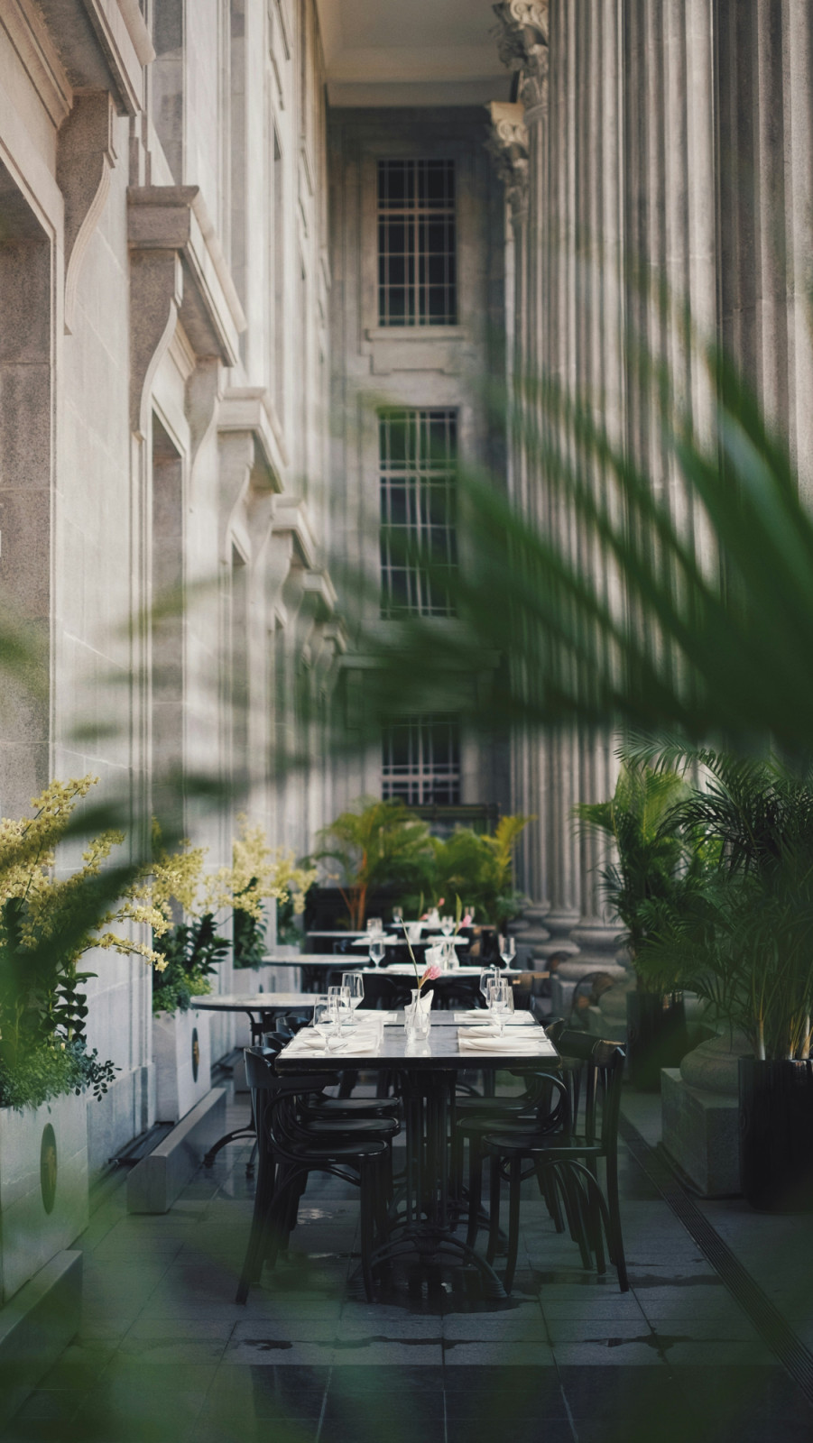 Ảnh: Darryl Low/Unsplash