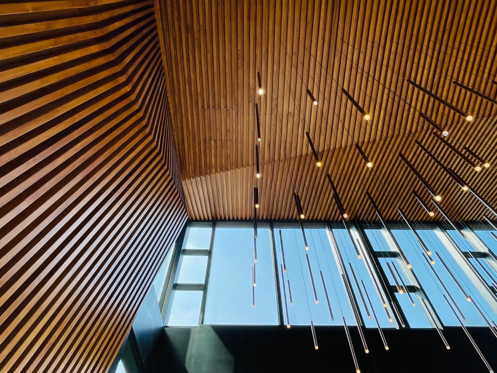 A view of the entrance ceiling reveals a sculptural lighting installation, with blue sky glimpsed through clerestory windows above