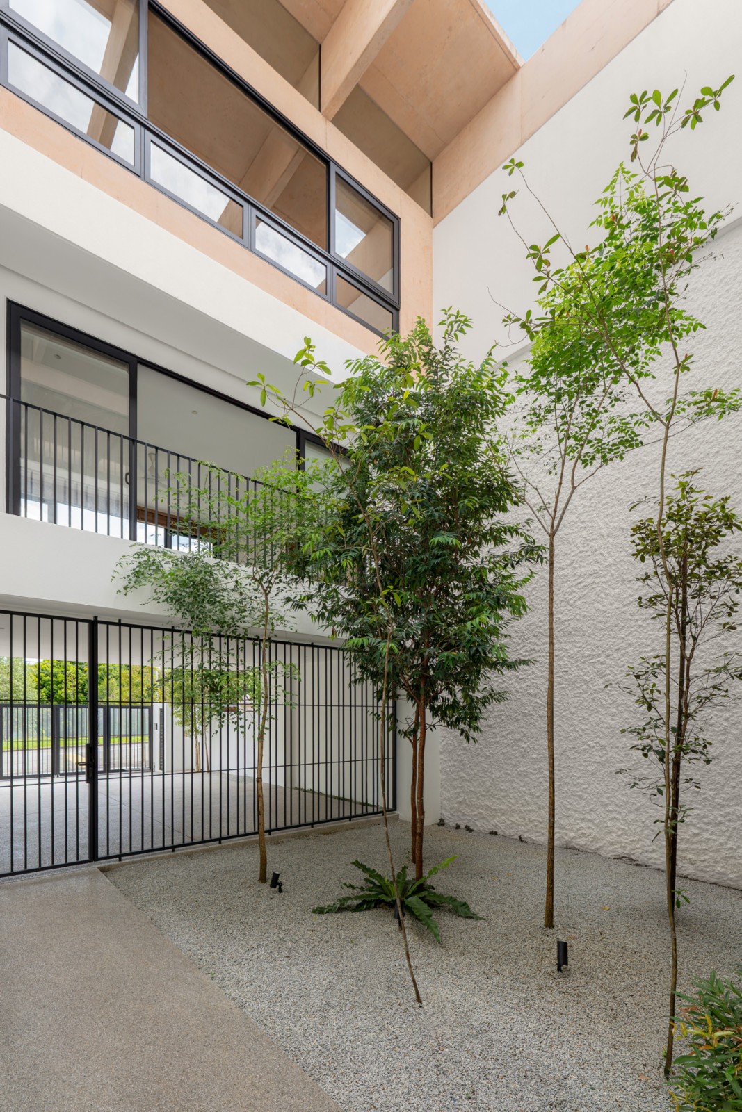 Trees in the central courtyard rise through the white-rendered first and second floors toward the pink concret