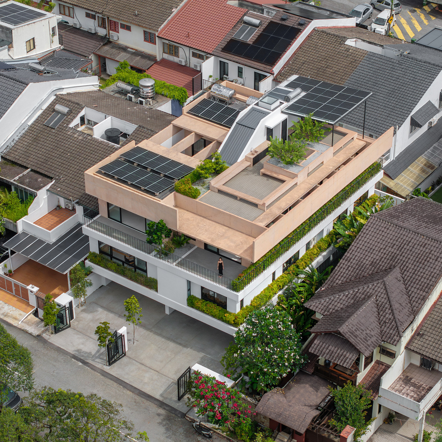 An aerial view shows solar panels on the rooftop, timber decking, and pink concrete fruit tree planters