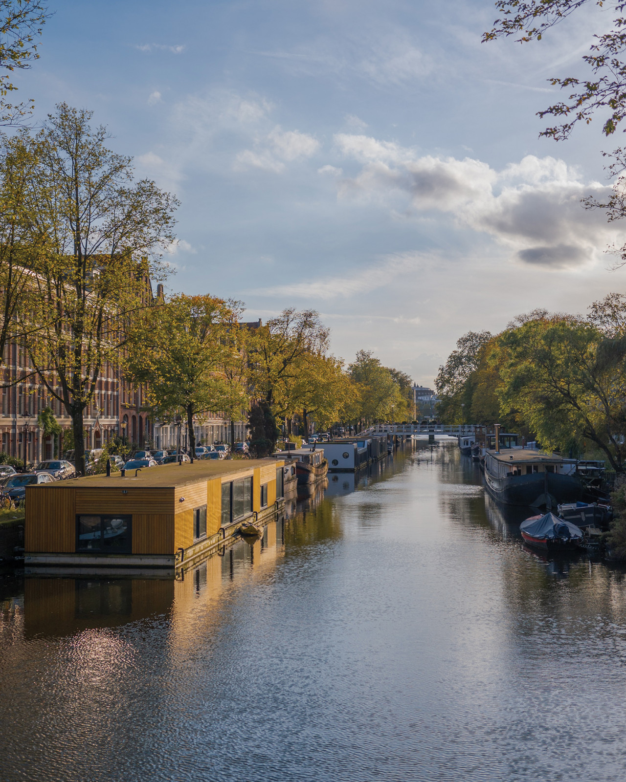 Scenes from Amsterdam (Image: Courtesy of Deepa Paul)