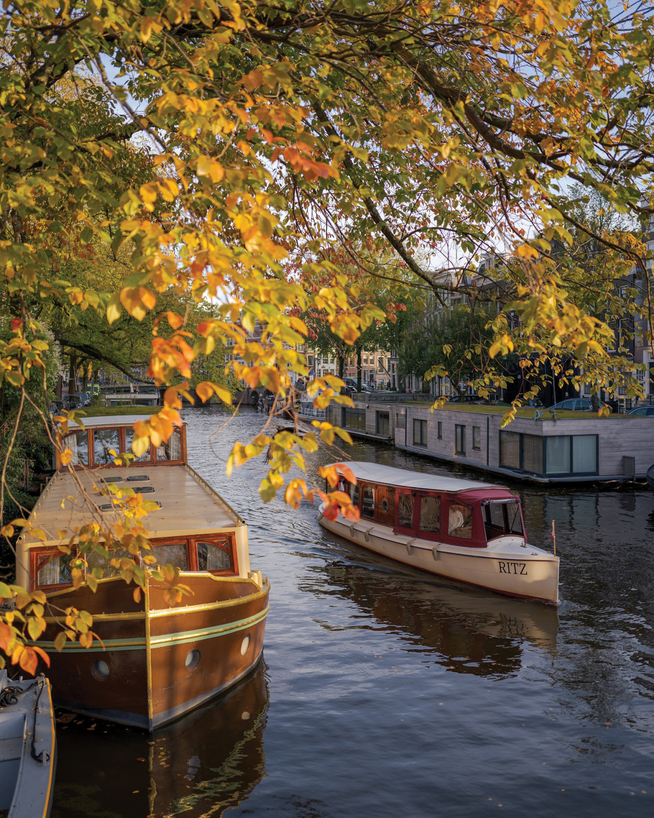 Scenes from Amsterdam (Image: Courtesy of Deepa Paul)