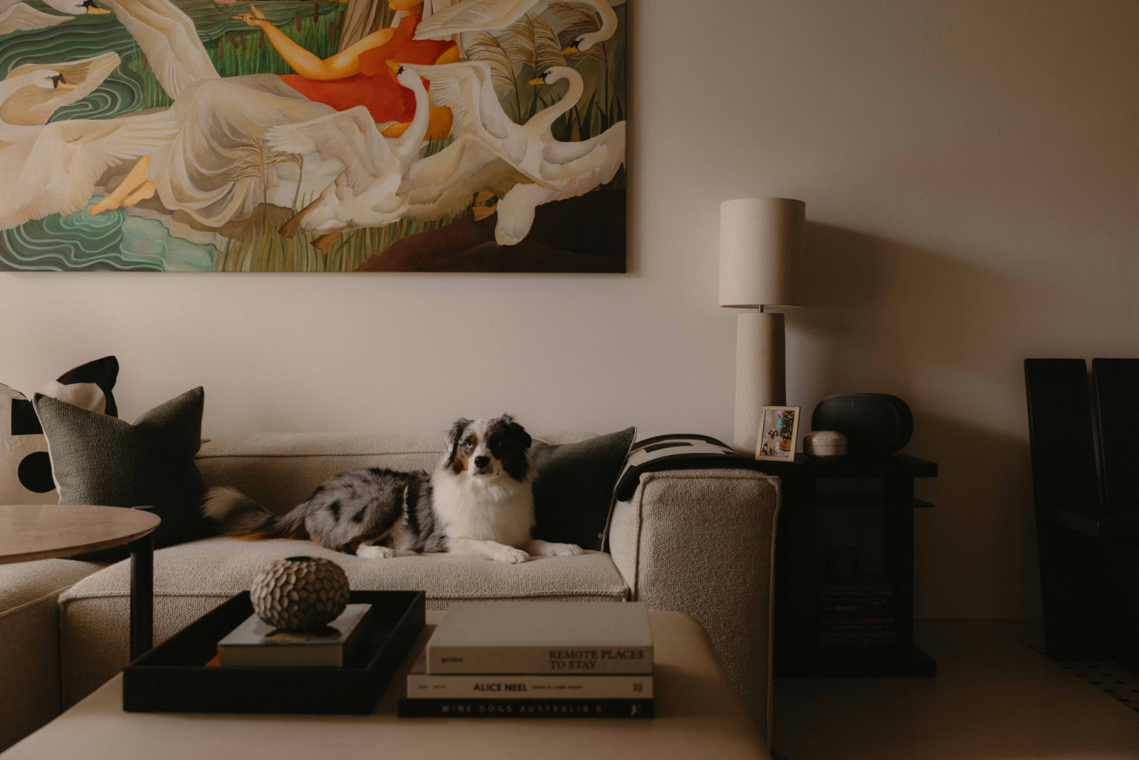 One of the couple’s dogs, an Australian shepherd, settled comfortably on the living room sofa