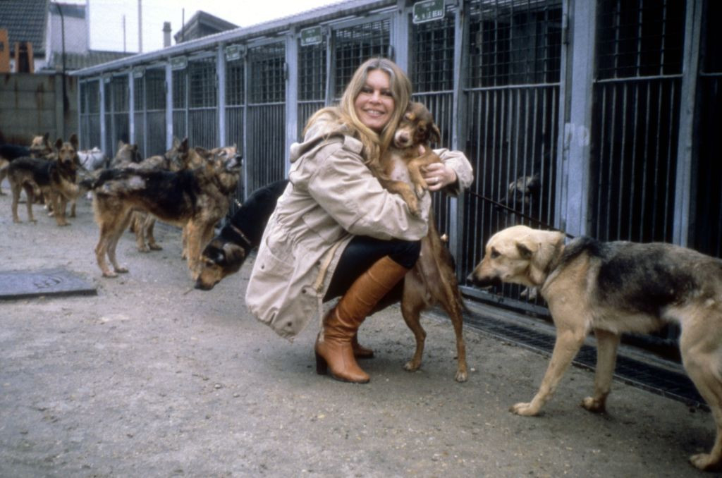 Brigitte Bardot at the SPA refuge in Gennevilliers in 1986. . (Photo by: Photo12/Universal Images Group via Getty Images)