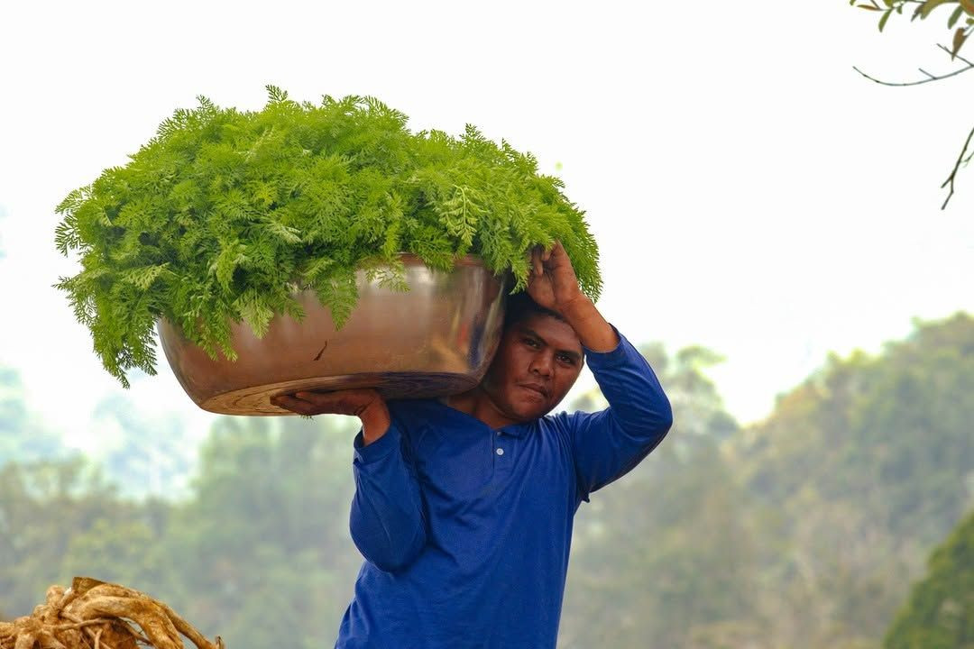 Ariel, a proud Hectares of Hope farmer (Photo: Instagram / @hectaresofhope)