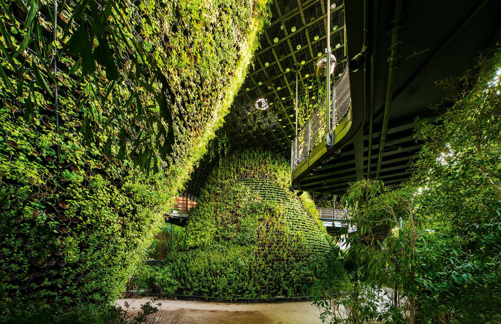 The interior of the Singapore Pavilion at Dubai Expo 2020 by Woha Architects and landscape firm Salad Dressing. (Photo: Patrick Bingham-Hall, courtesy of SIA Architectural Awards)