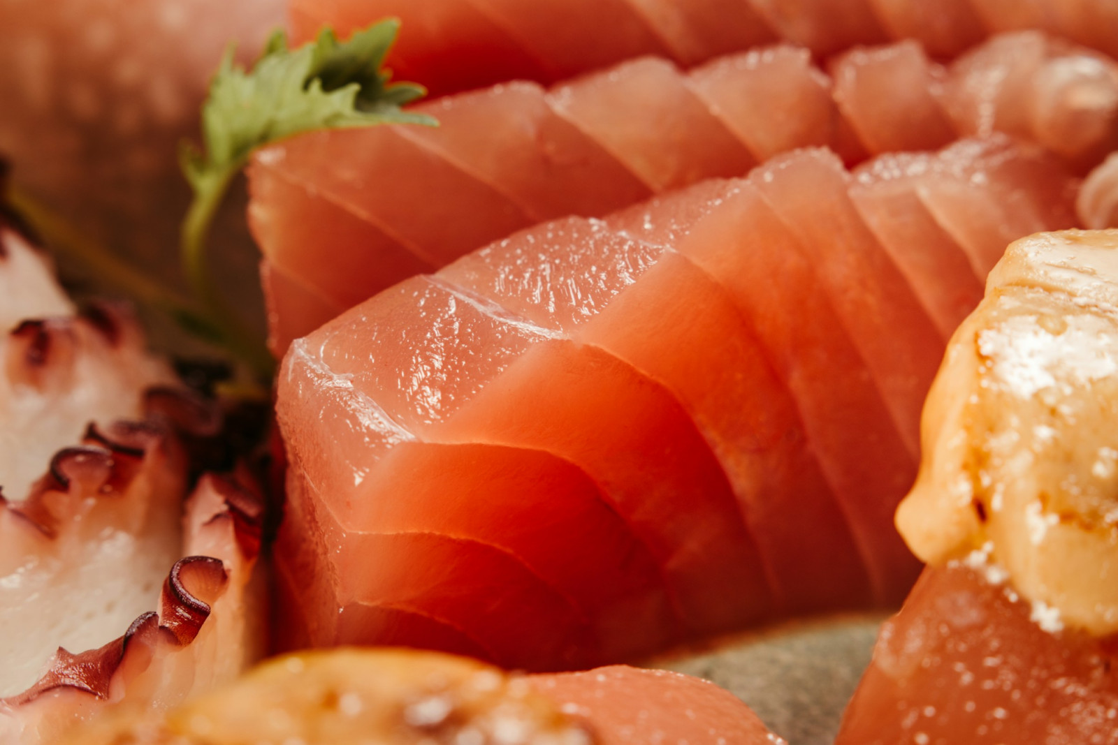High-quality Atlantic and Pacific bluefin, auctioned in Japan, feature in sushi, sashimi and luxury seafood dishes (Photo: Jonathan Borba/Unsplash)
