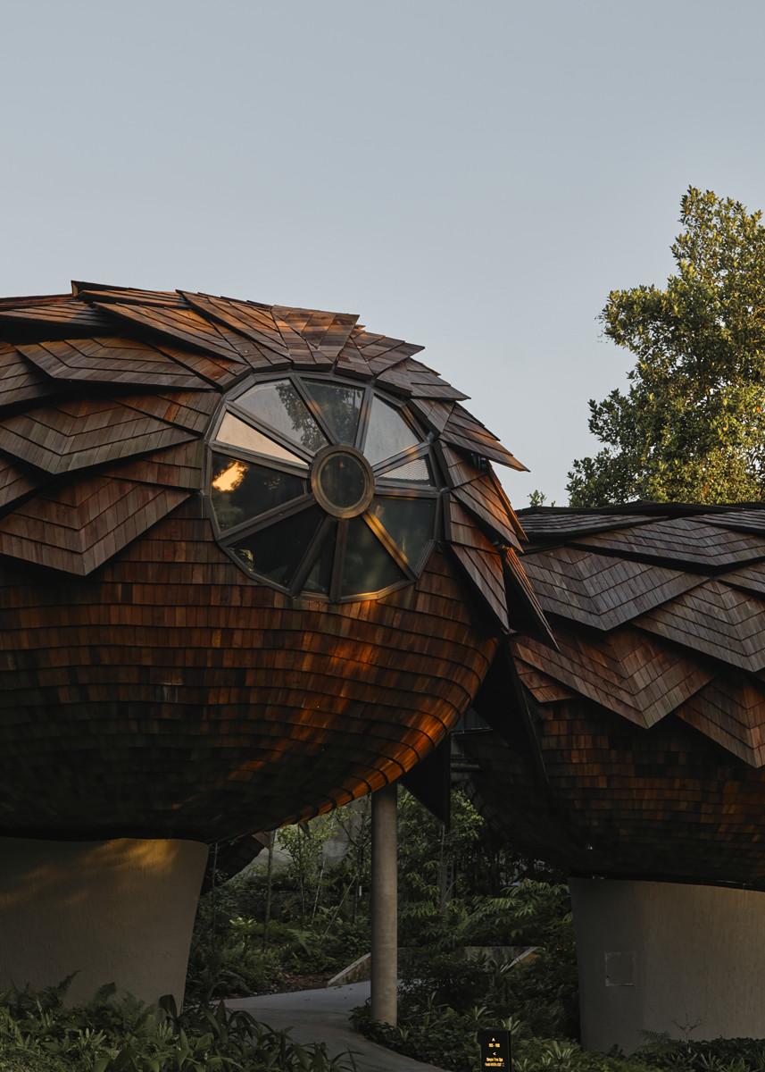 Pangolin-inspired detailing of Mandai Rainforest Resort’s spa pavilion points to a nature-led future of design