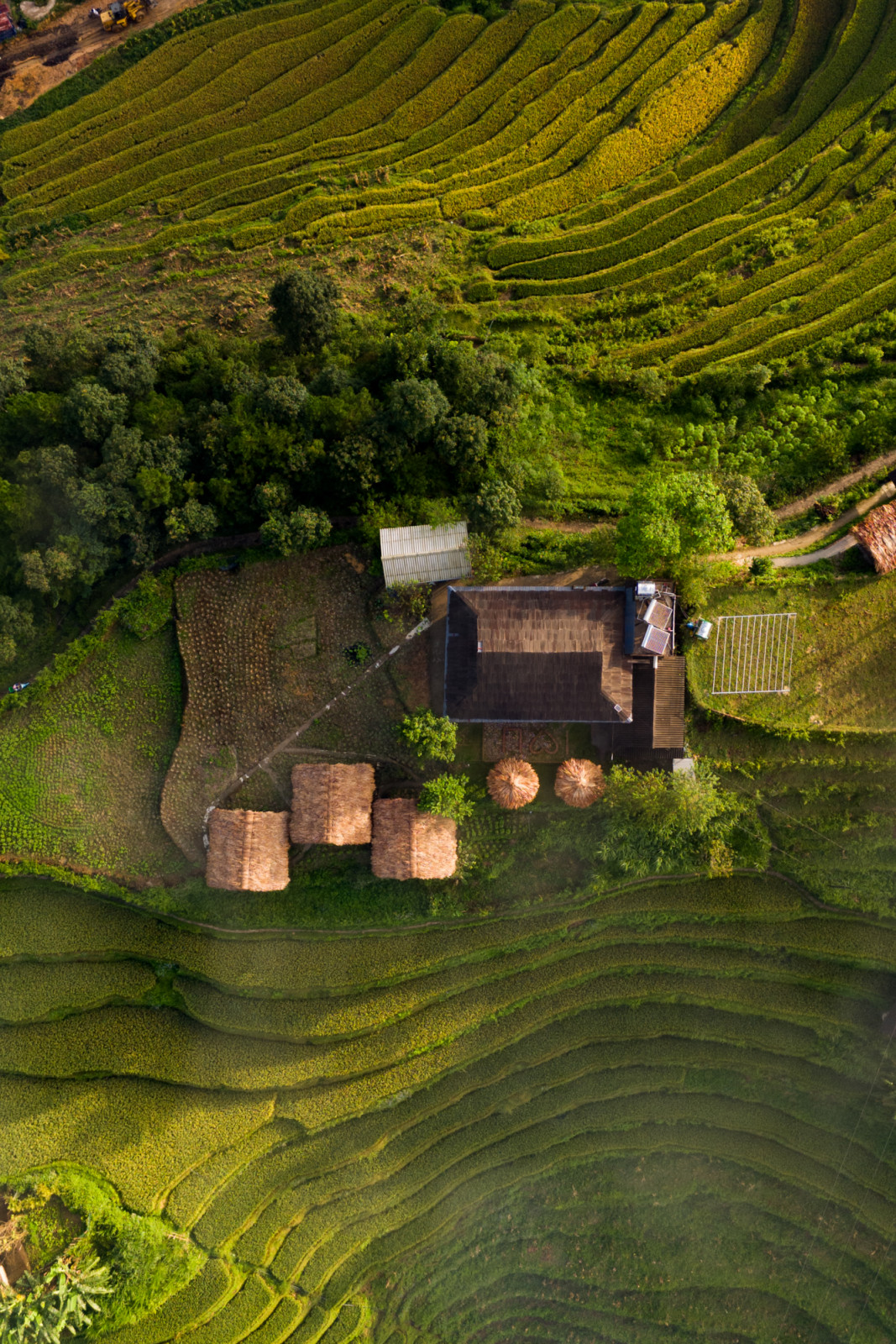default