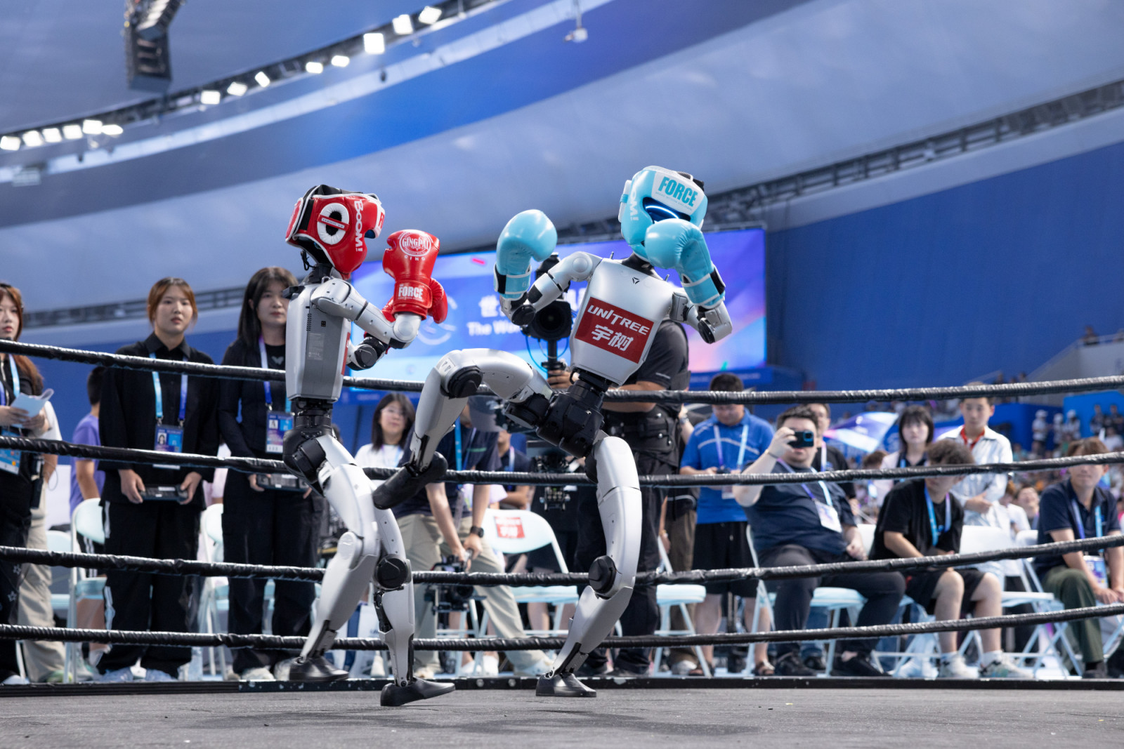 Unitree Robotics robots showcase boxing skills at the opening ceremony of the 2025 World Humanoid Robot Games in Beijing (Photo: Getty Images)