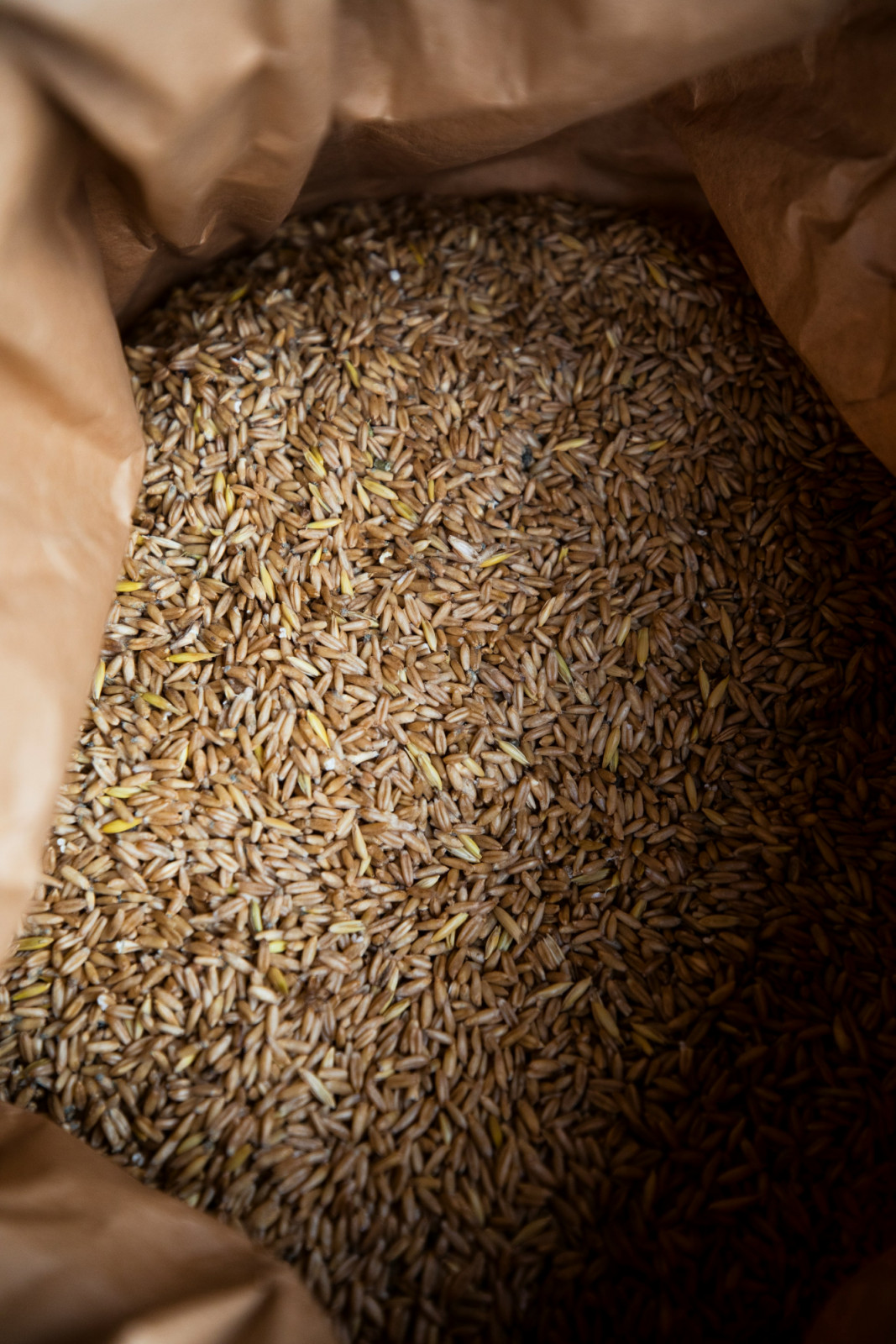 Farro (Photo: Unsplash / Markus Spiske)