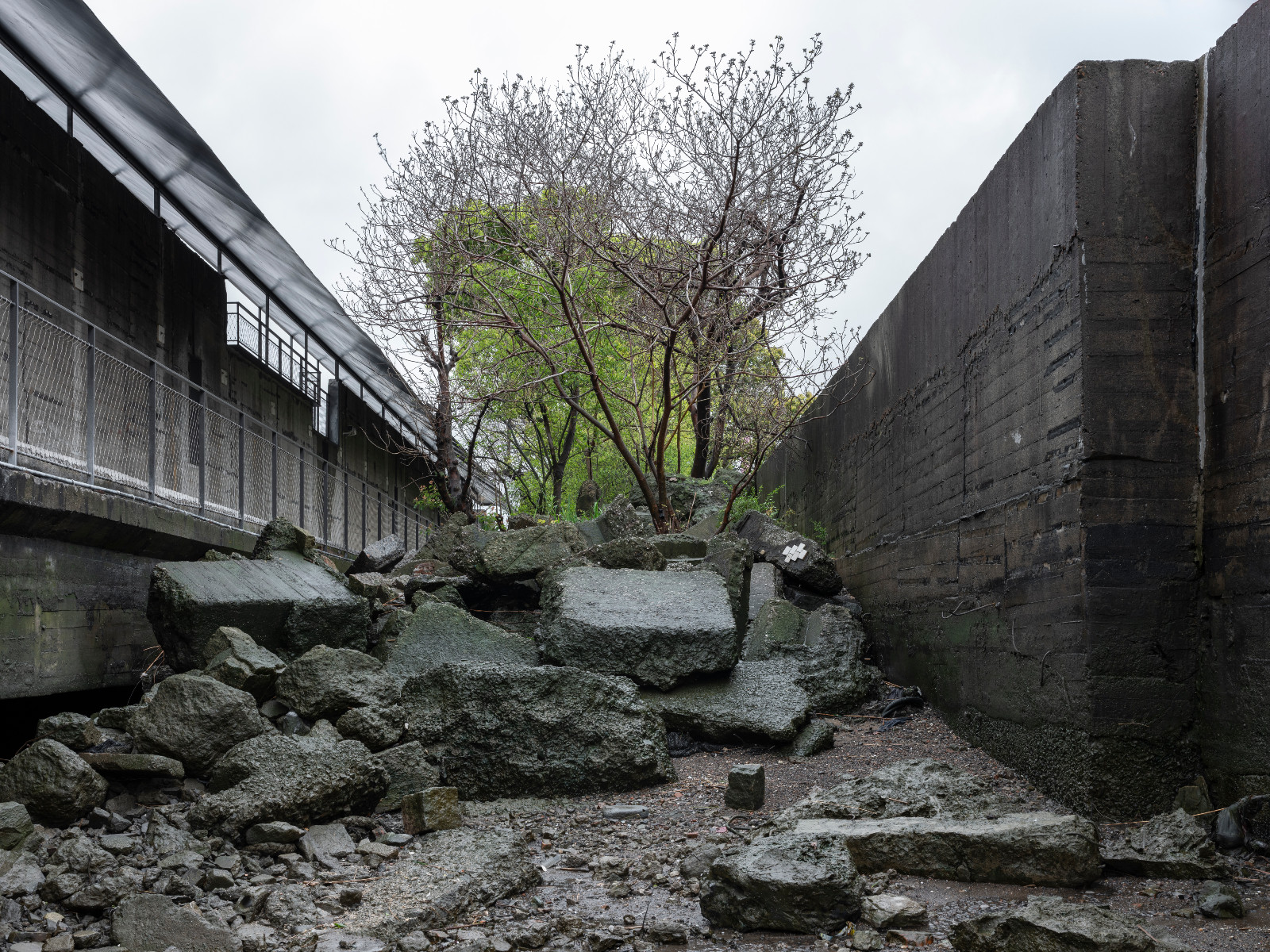 Riverside Passage at Yangpu Waterfront (Photo: Tian Fangfang)