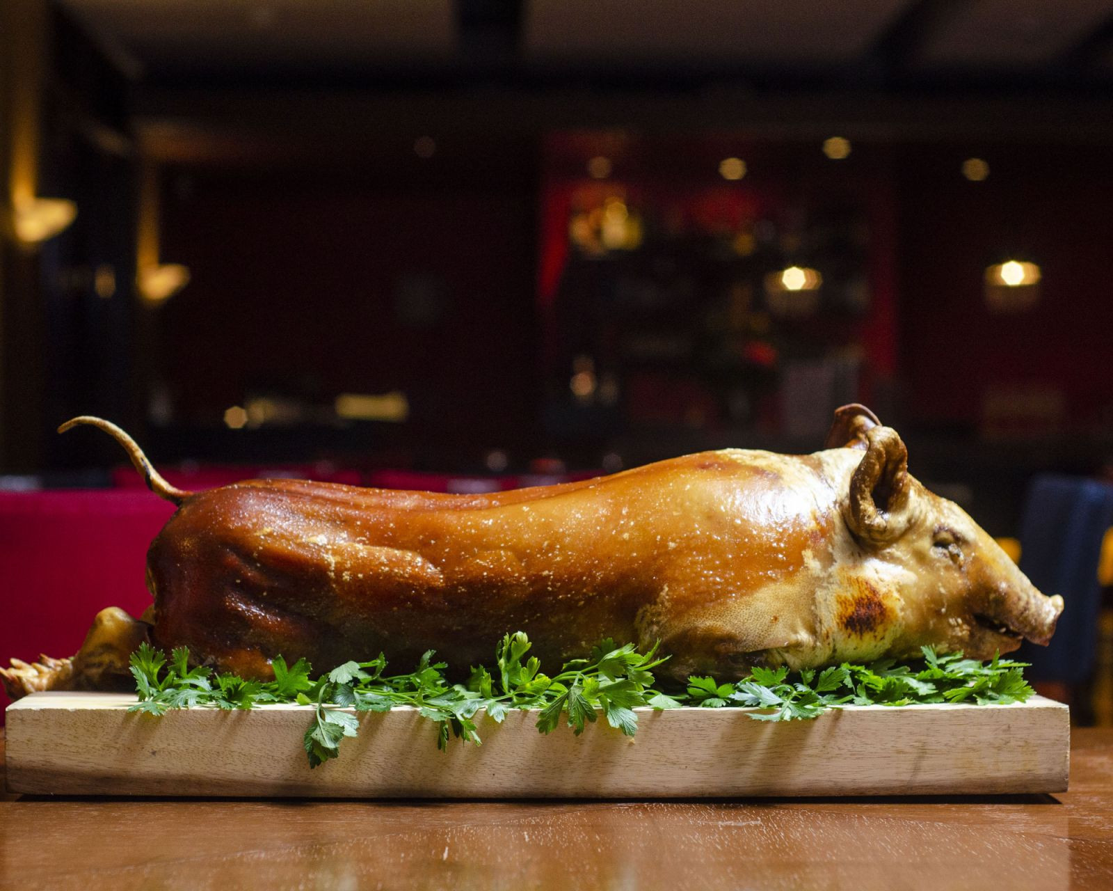 Tatler Best Philippines - Best Spanish Restaurants 2025 - Cirkulo