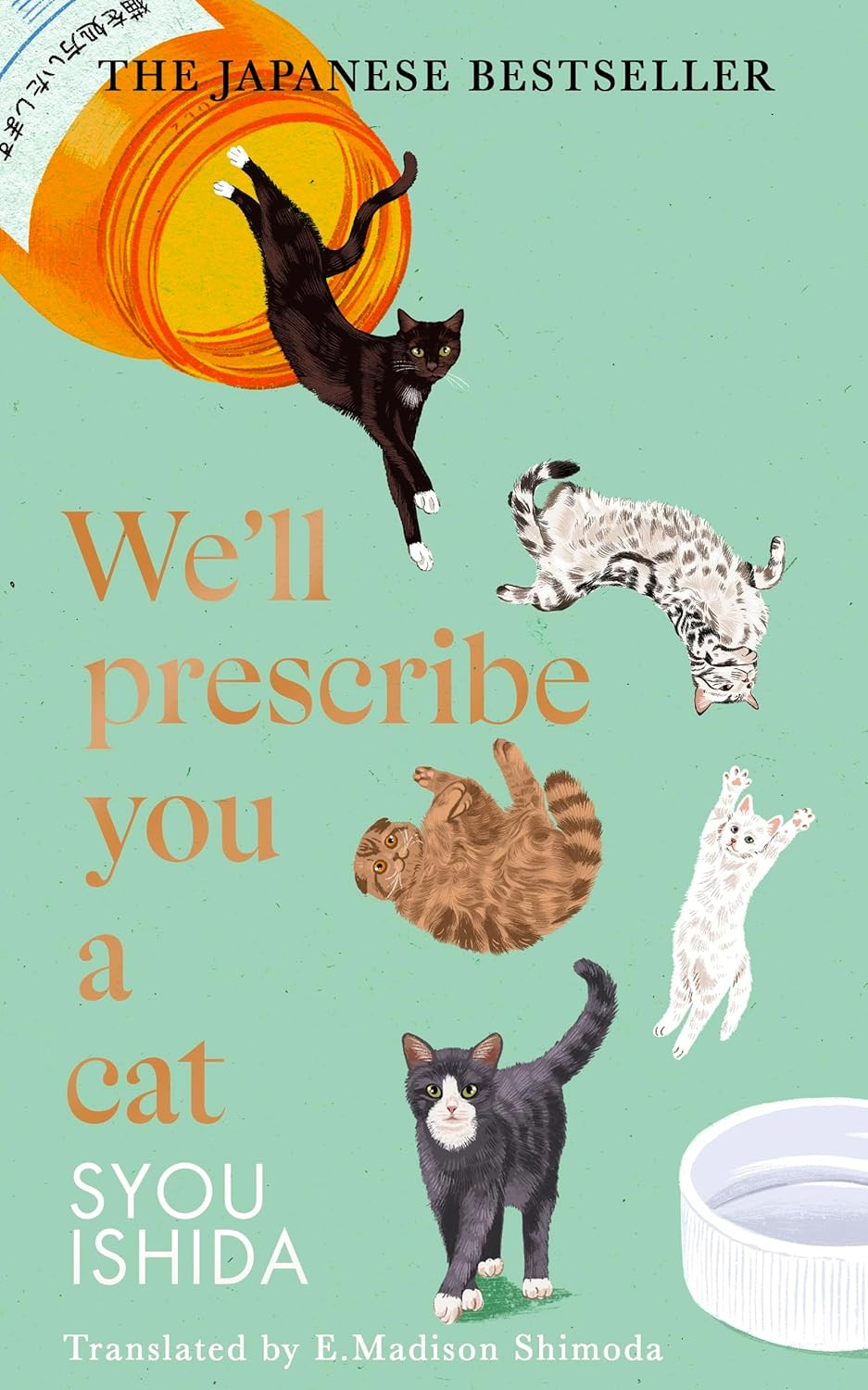 ‘We'll Prescribe You a Cat’ by Syou Ishida (Photo: Doubleday)
