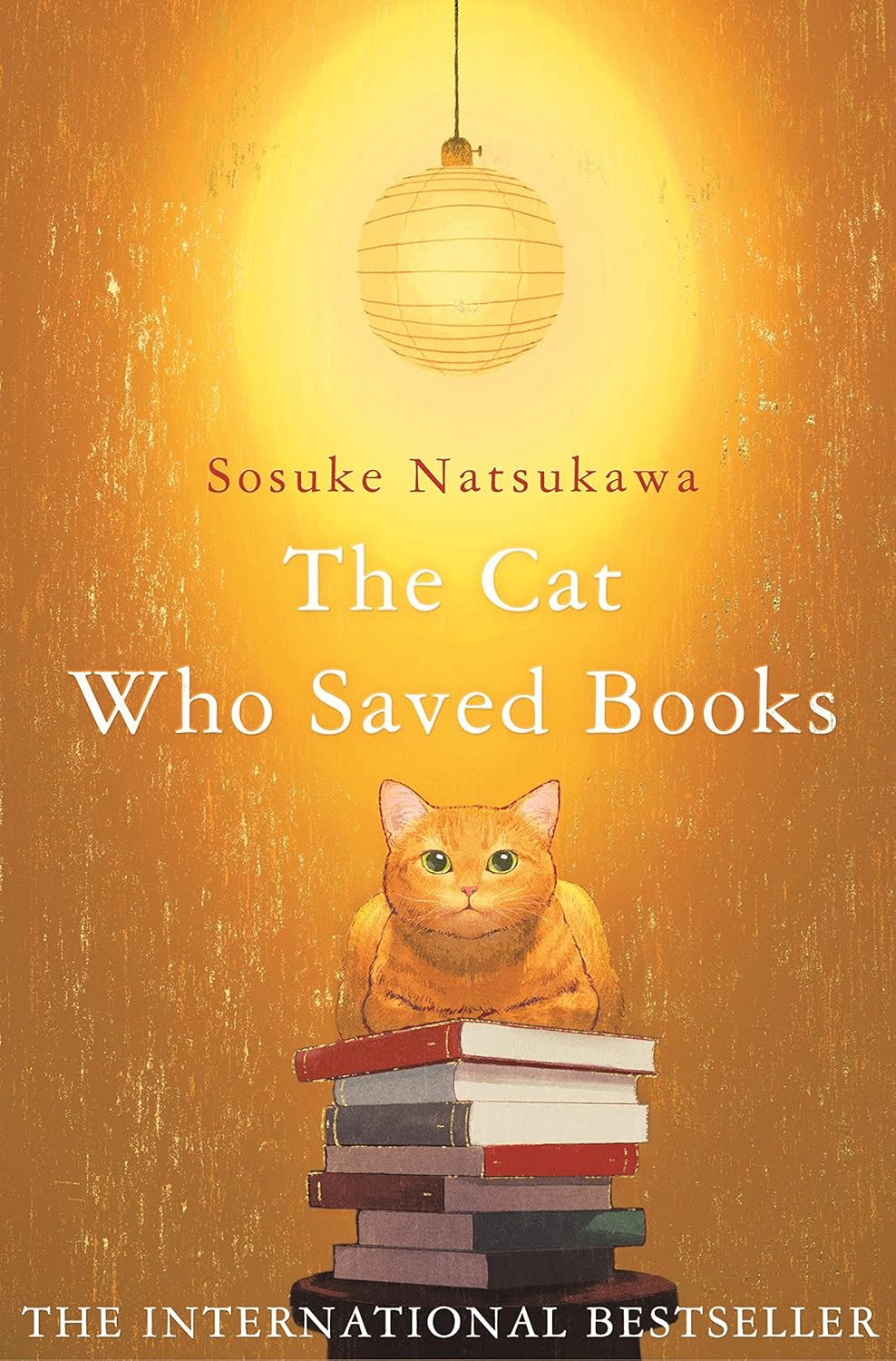 ‘The Cat Who Saved Books’ by Sōsuke Natsukawa (Photo: Picador)