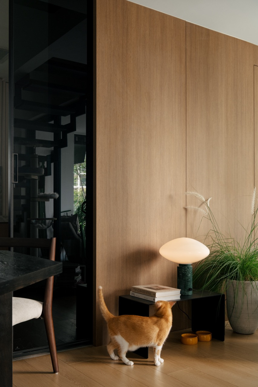 The client’s cat beside the timber panelling and black steel staircase structure