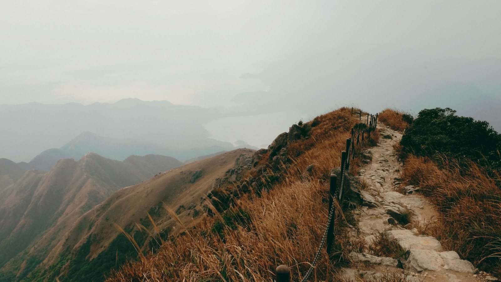Exposure to landscapes supports cardiovascular health, boosts immune function, and encourages movement (Photo: Jen Loong/Unsplash)