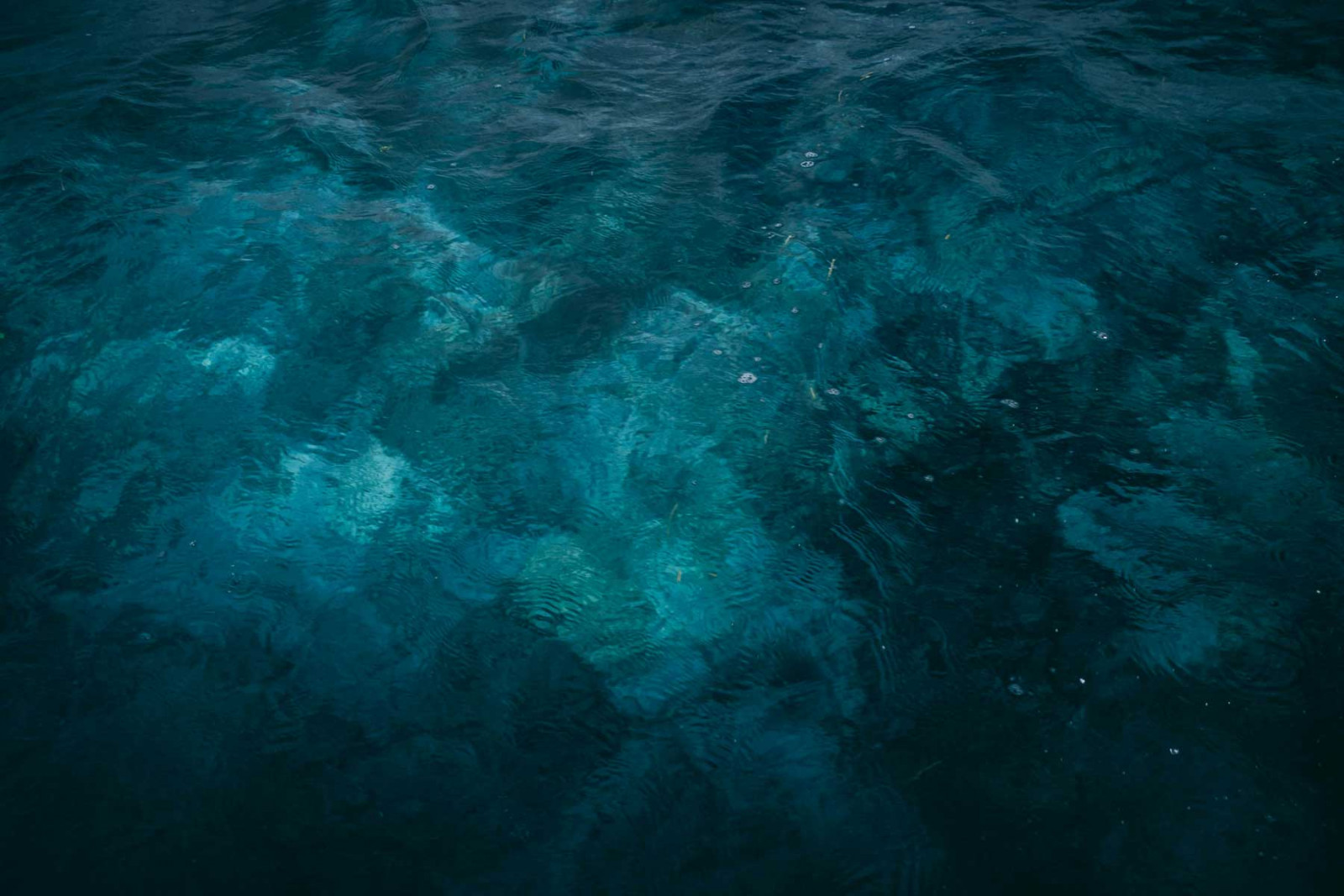 Transformative Teal, WGSN and Coloro (Photo: Unsplash)