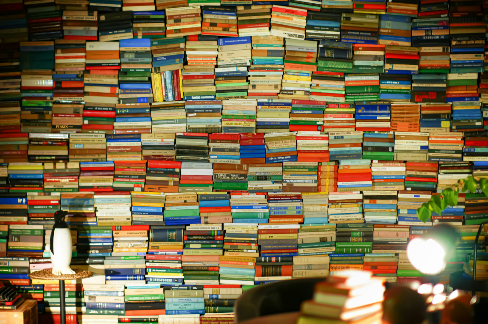 Books bought on impulse, shelves that outpace free time and the quiet appeal of tsundoku—the unread spines—say more about curiosity than commitment (Photo: Nikita Rashnii/Unsplash)