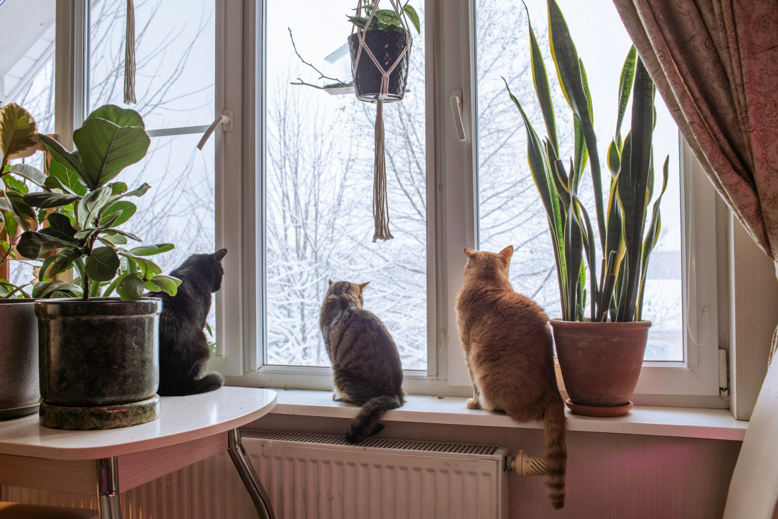 House burping explained: From mould to stale air, clean indoor air is more than comfort—it’s a foundation for healthier living. (Photo: Tatyana Rubleva/Unsplash)