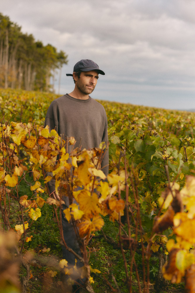 his latest works incorporated organic materials such as leaves, flowers and branches collected from the Champagne region
