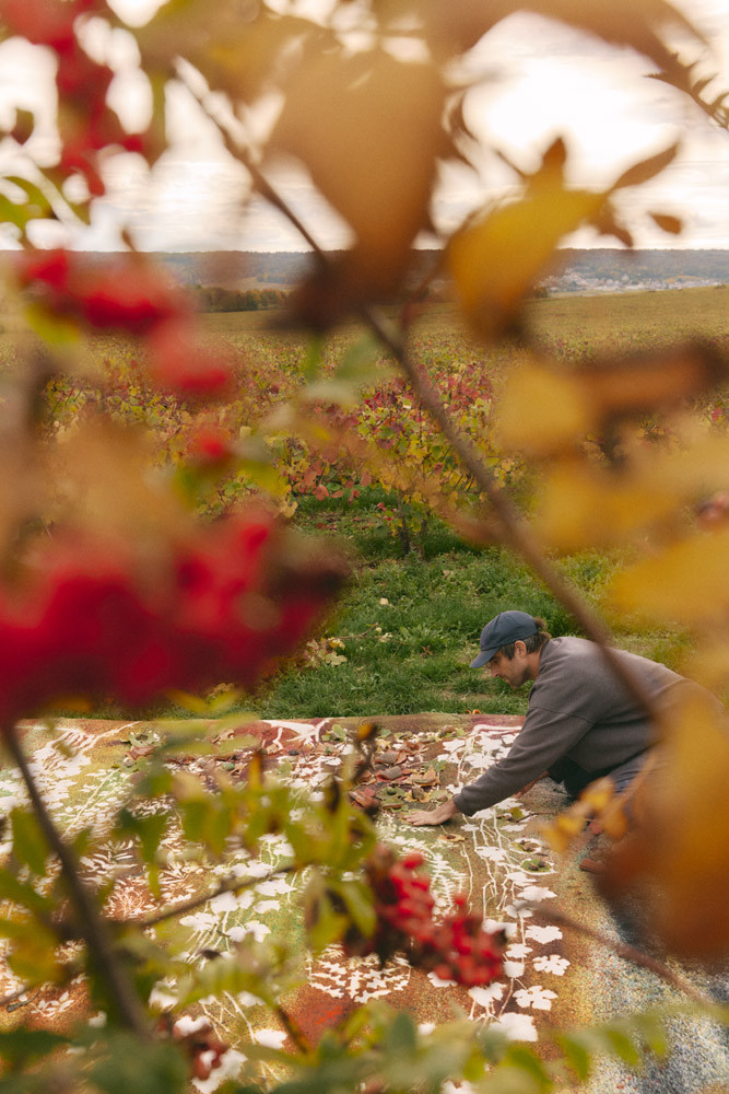 Falls’ latest work for Ruinart incorporated organic materials such as leaves, flowers and branches collected from the Champagne region