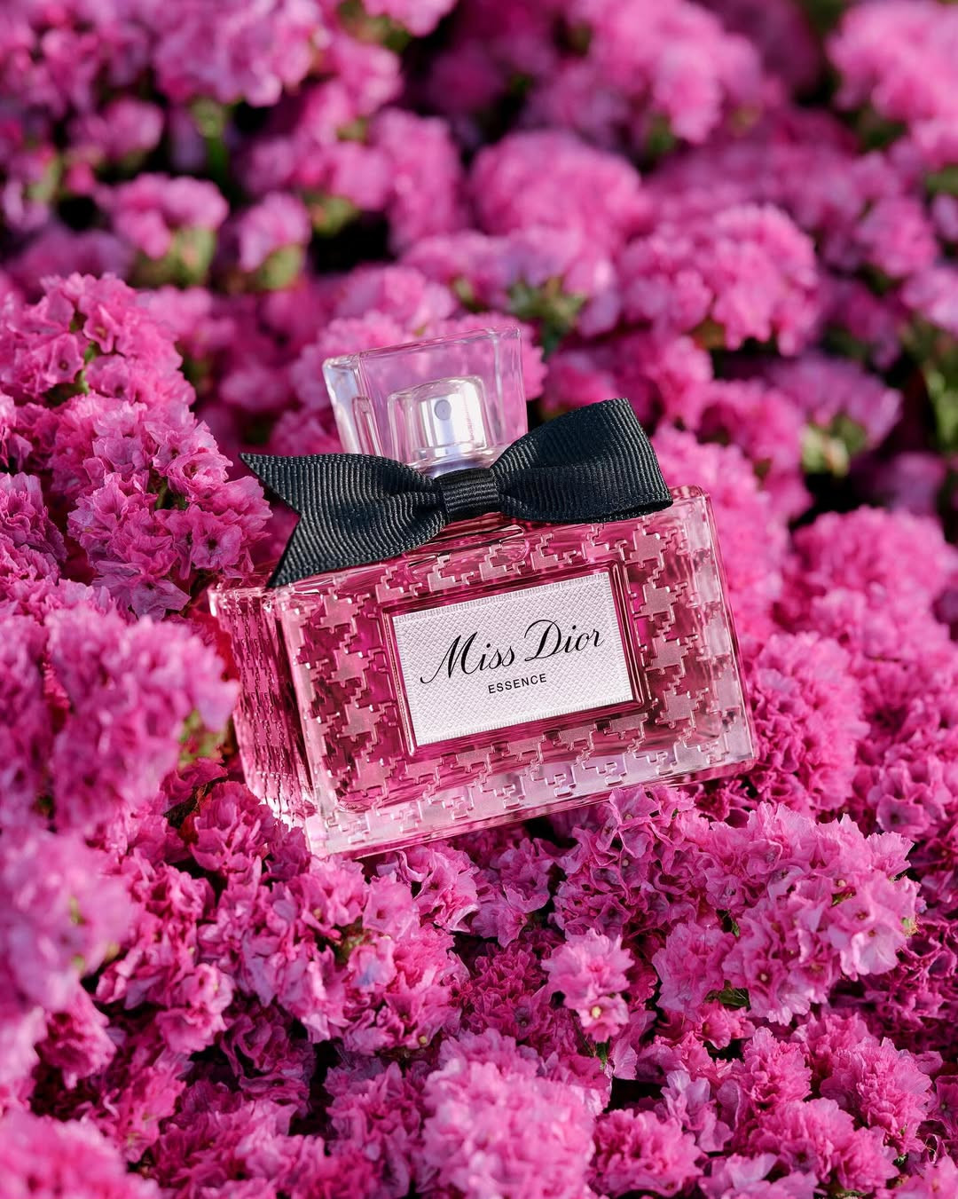 Miss Dior perfume carries more than floral notes; it honours Catherine Dior, whose courage in the French Resistance inspired its name (Photo: Dior Beauty/Instagram)