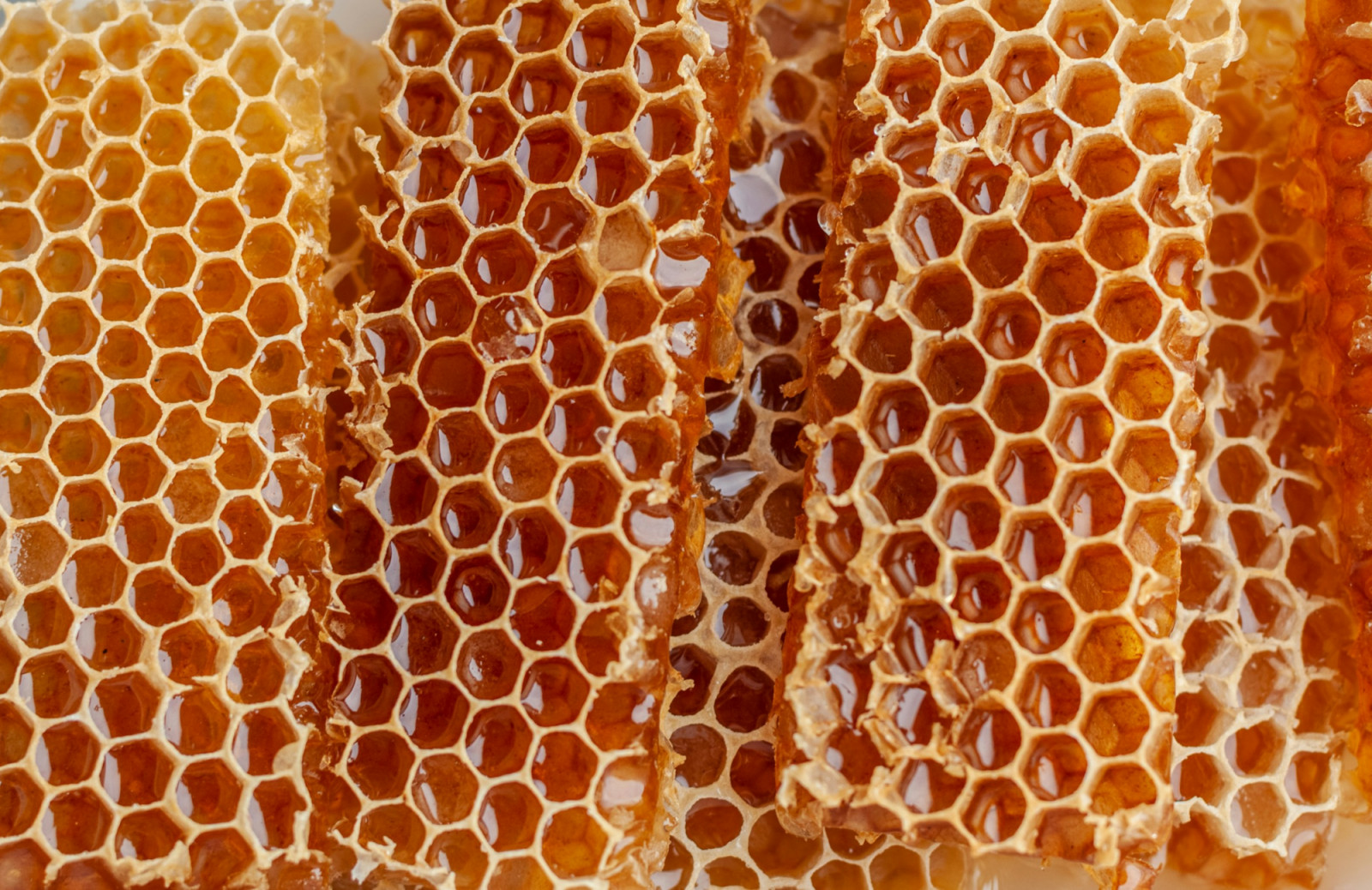 Rich in naturally occurring compounds such as MGO, mānuka honey is valued for its antibacterial properties, distinctive flavour, and verified purity through recognised grading systems (Photo: Cristina Marin/Unsplash)