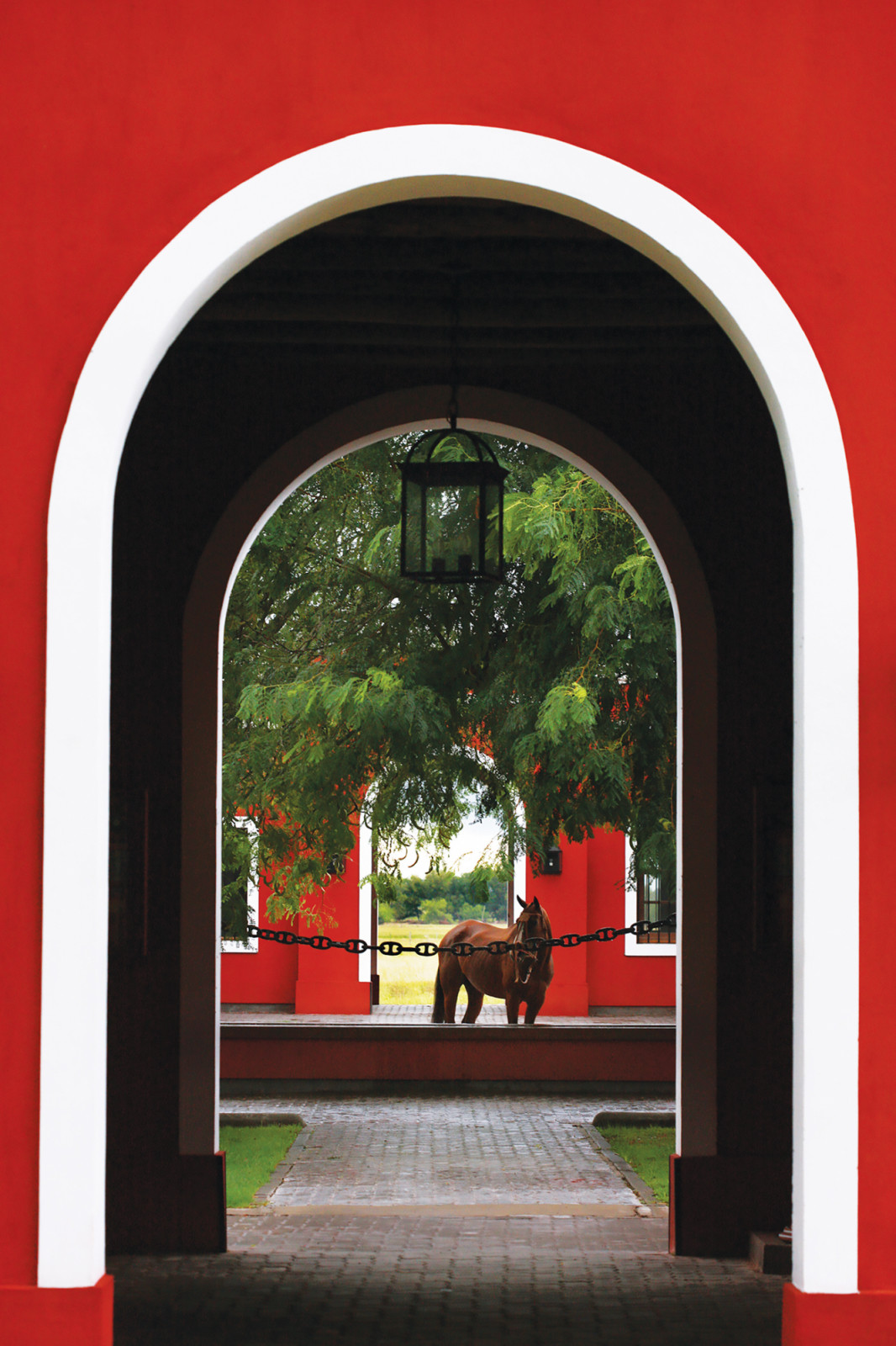 A finely trained horse stands calmly inside La Bamba’s historic interiors