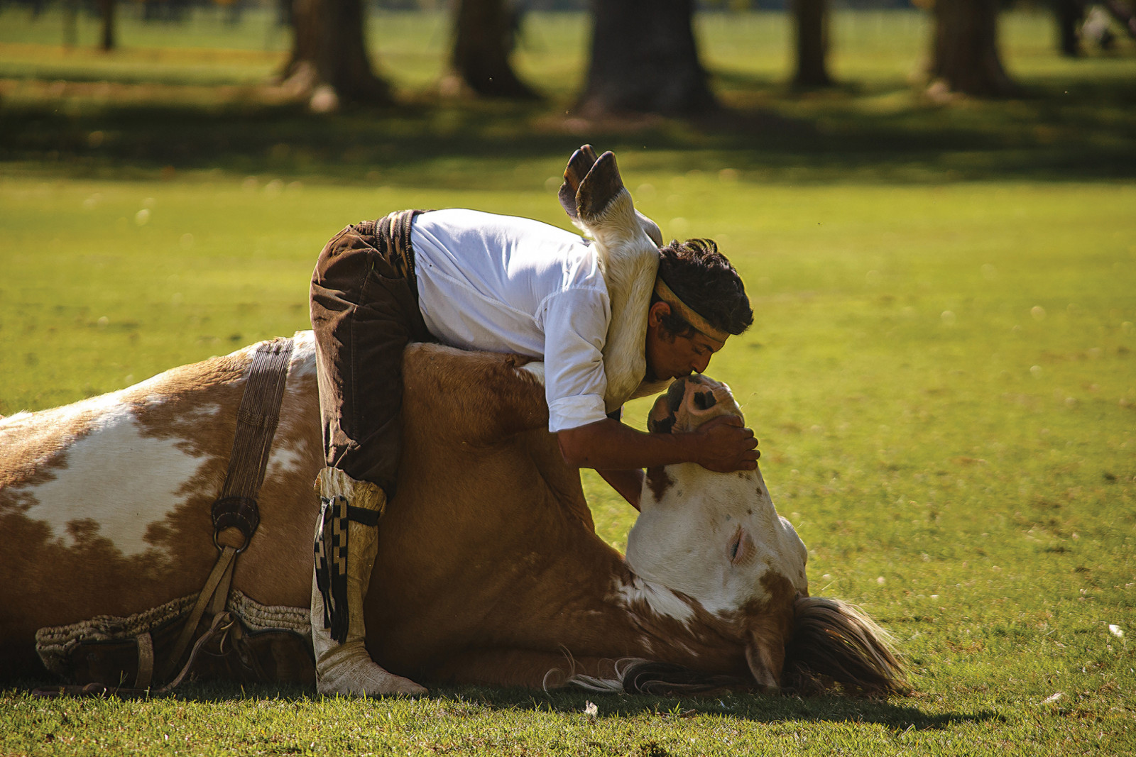 At La Bamba, gauchos and their horses bring Argentina’s Pampas traditions vividly to life